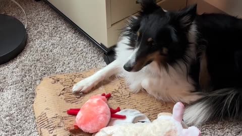 Lyla's Gotcha Day (on Easter) - and new toys!