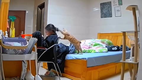 Littels Dog's Comedy Videos 🤣 so cute videos 😍 funny videos 🤣