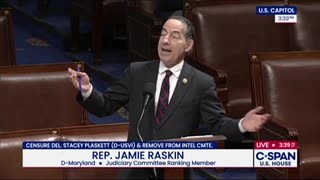 Jamie Raskin Makes Excuses After Democratic Colleague Took Epstein’s Phone Call