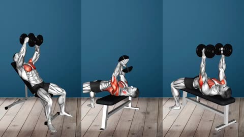 Chest Workout only Dumbbell