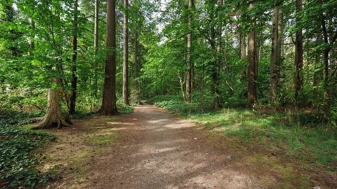 Houses For Sale in Seymour - www.deepcovedarcy.com