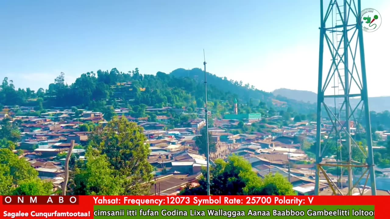 Oduu Ganama ONM-ABO Fulbaana 25-2025 itti dhiyaadhaa!