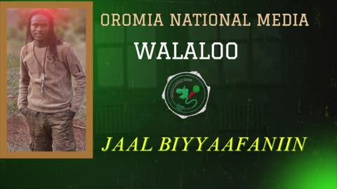 Qophii Walaaloo Jaal Biyyaafaniin ONM-ABO Adoolessa 25-2025 itti dhiyaadhaa!