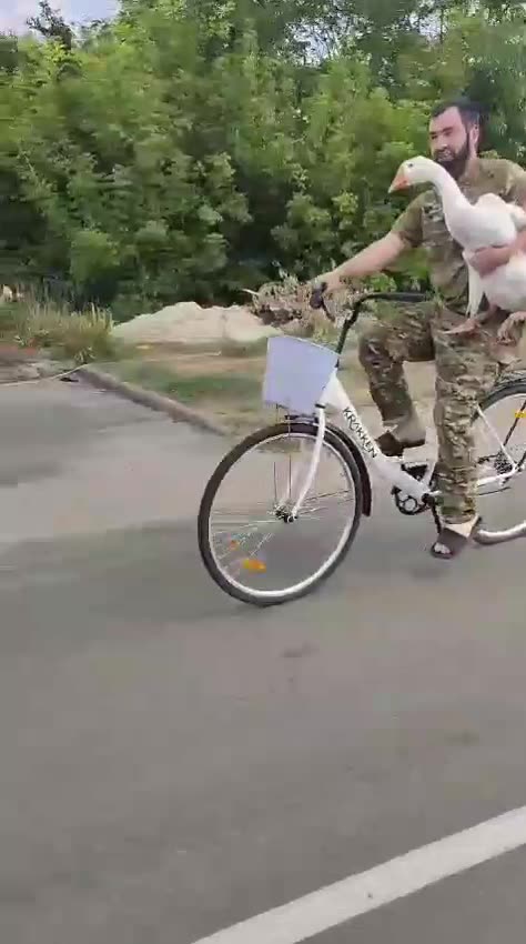 Chechens Steal Goose from Locals in Kursk