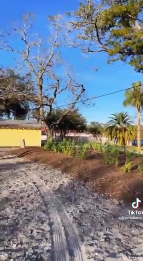 Grow Food NOT Grass... Hate HOAs