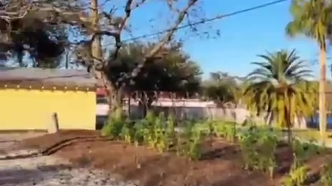 Grow Food NOT Grass... Hate HOAs