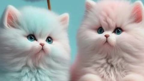 "From Purr-fect Pics to Paw-some Videos! 😻🎬 Watch These Cute Cat Images Come to Life! 🐾✨ #CatMagic"