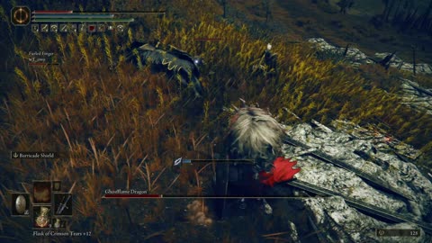 Elden Ring DLC NG+1 | Ghostflame Dragon field boss w/1 cooperator #shadowoftheerdtree #eldenring