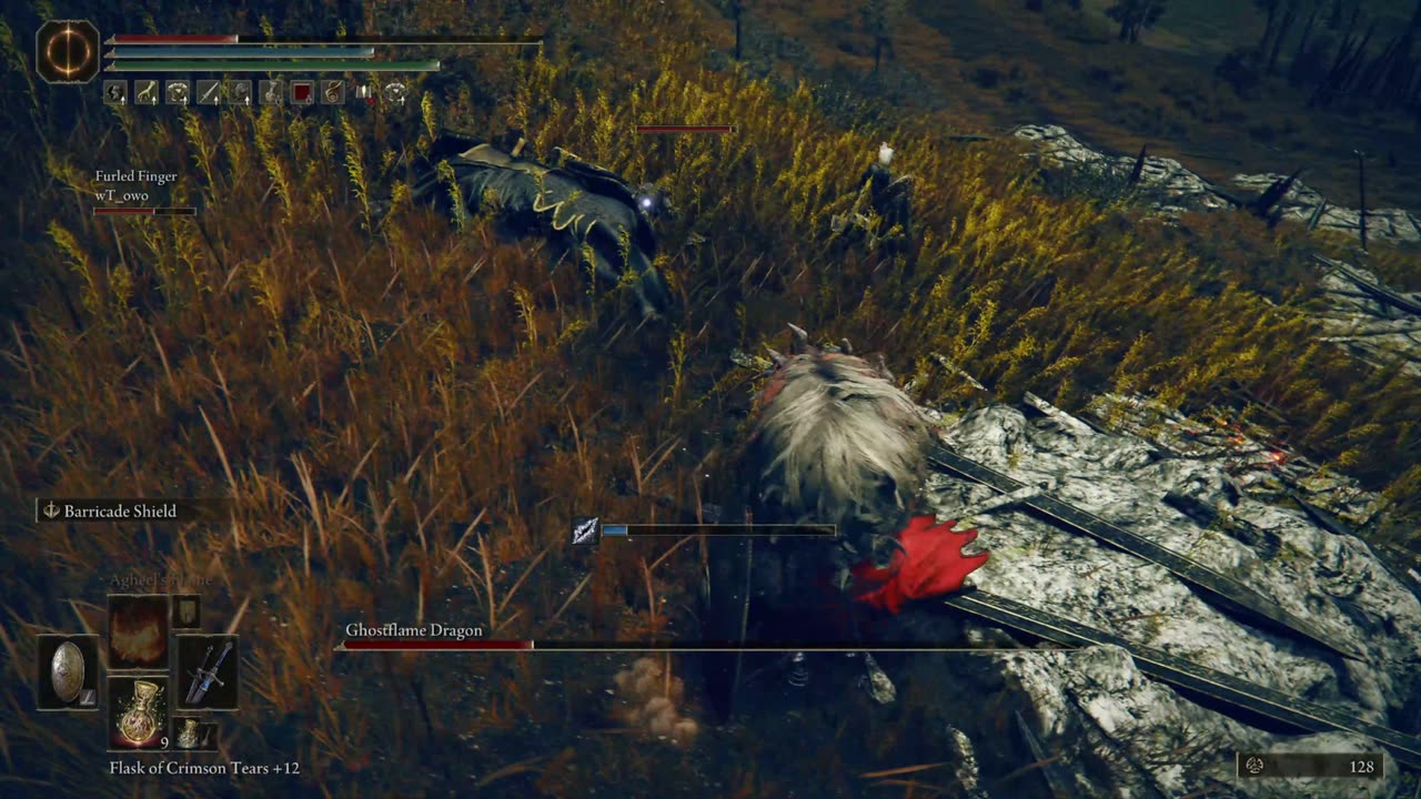 Elden Ring DLC NG+1 | Ghostflame Dragon field boss w/1 cooperator #shadowoftheerdtree #eldenring