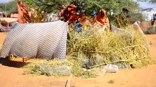 Over 1,000 killed in April attack on Sudan's Zamzam camp - UN