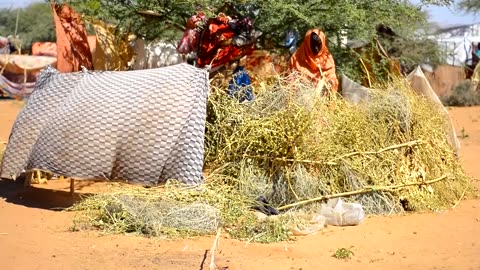 Over 1,000 killed in April attack on Sudan's Zamzam camp - UN