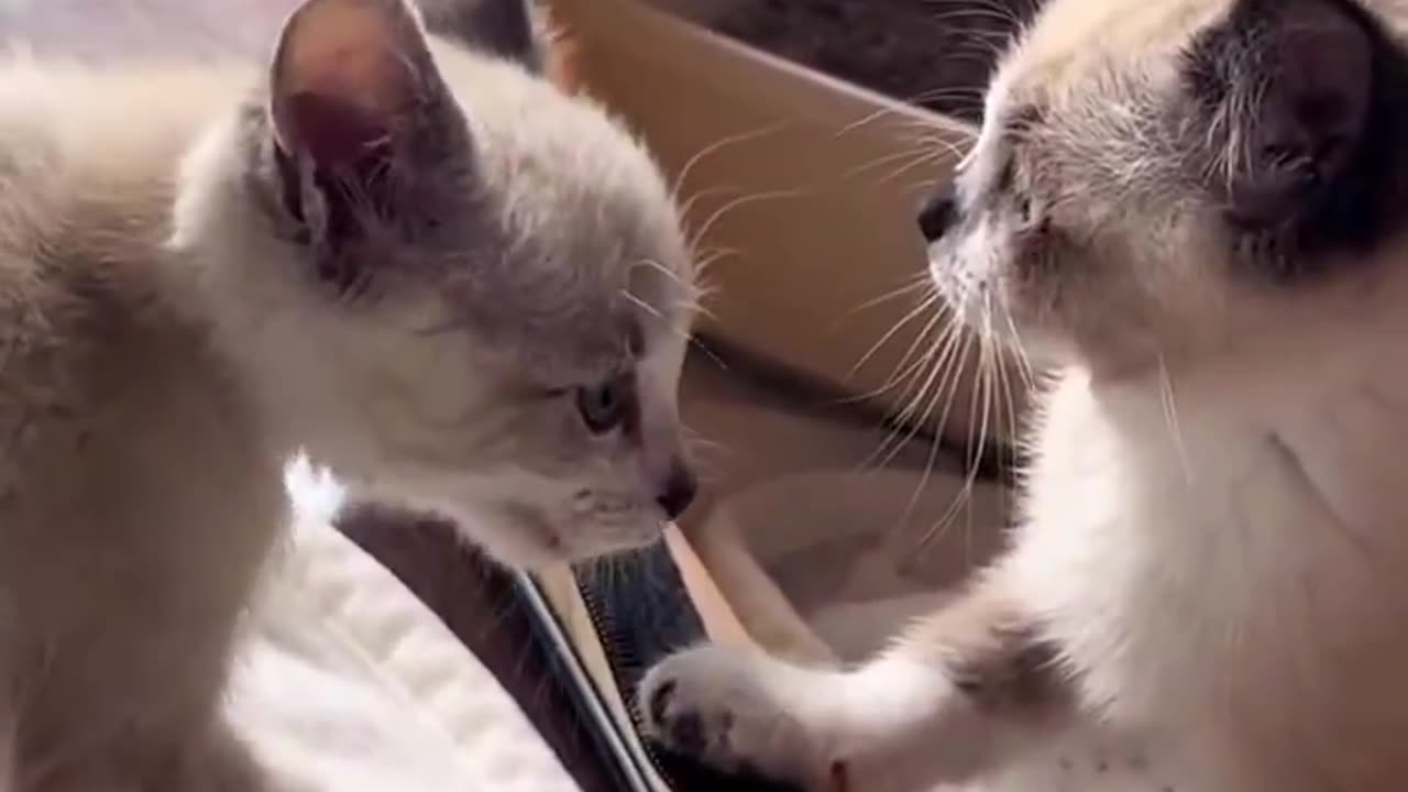 Anyone care to translate?😅