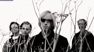 Tom Petty - Rhino Skin