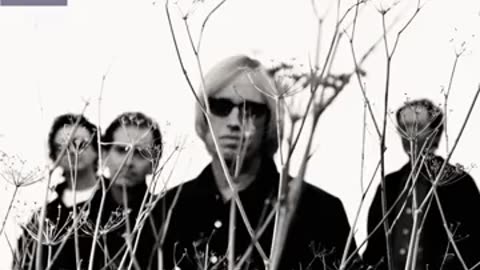 Tom Petty - Rhino Skin