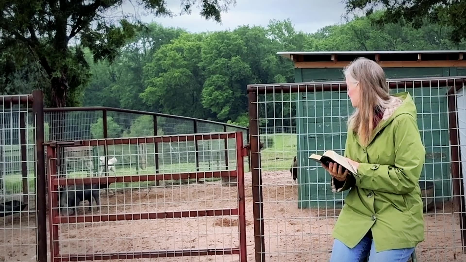Morning Prayer Bloopers July 4th