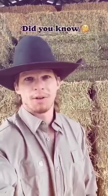 Over 1,300 Different Strains of DNA Found in a Quarter Pound Patty, WOW!