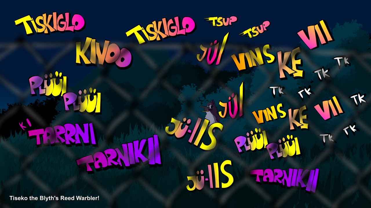 Tiseko the Blyth's Reed Warbler!