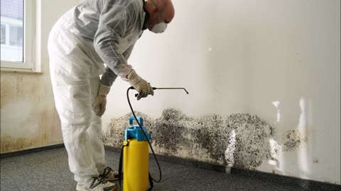 Cleaning & Renovations by TC