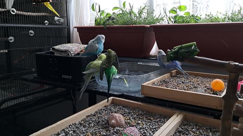 More Bathtime Chaos ...