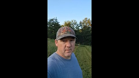 Mowing electric fences