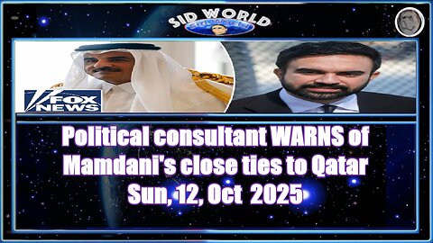 Political consultant WARNS of Mamdani's close ties to Qatar