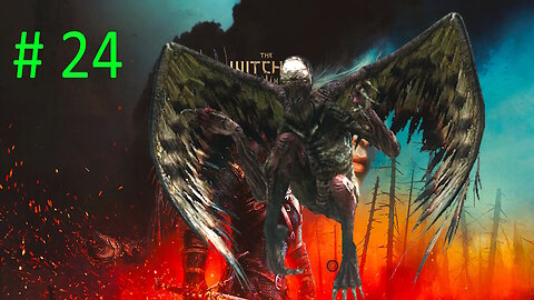 Let's Play Witcher 3 Wild Hunt BLIND # 24 ⭐Harpy Feeding Ground⭐
