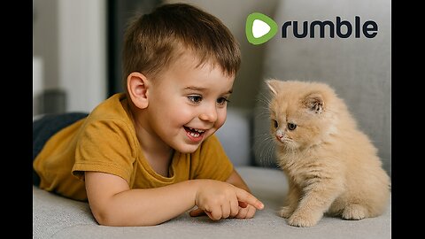 Kitten Chick Mischief Burst