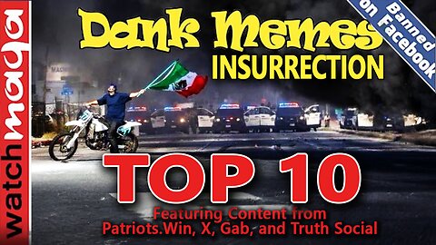Insurrection: TOP 10 MEMES