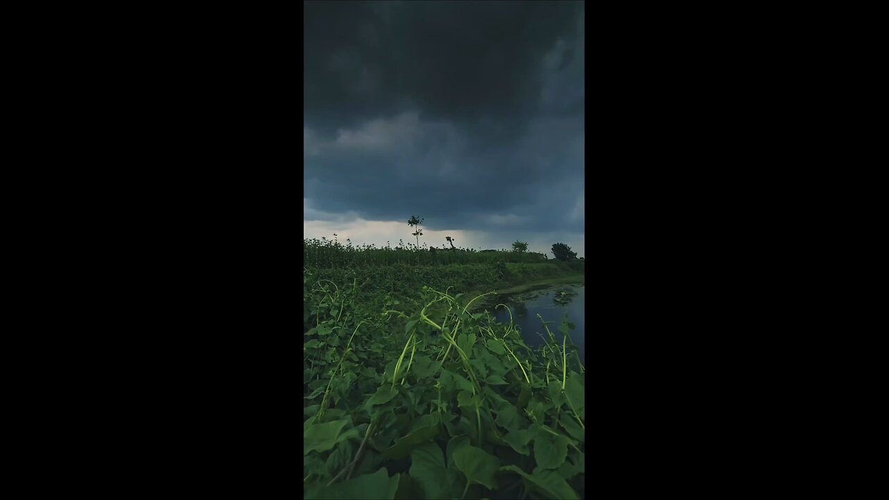 Kuch pal aise hote hain jo dil ko choo jaate hain… Slowed & reverb ke saath ek alag hi feel hai