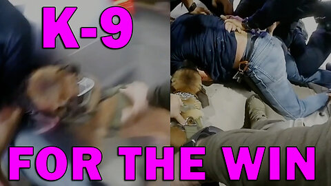 K-9 Takes Suspected Shooter Down Just In Time For The Brigade To Arrest! LEO Round Table S10E243