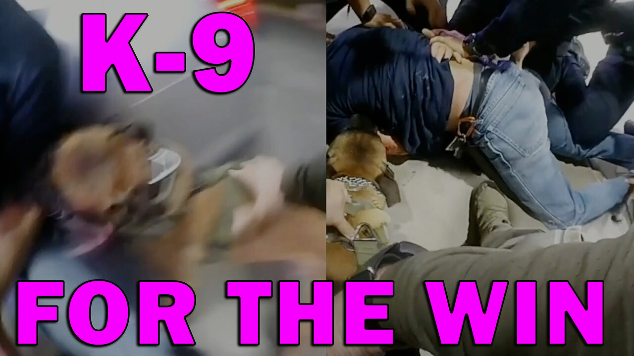 K-9 Takes Suspected Shooter Down Just In Time For The Brigade To Arrest! LEO Round Table S10E243