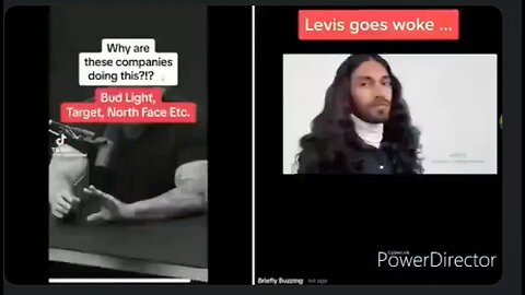 Why big companies are destroying themselves and what is behind it. This guy nails it.