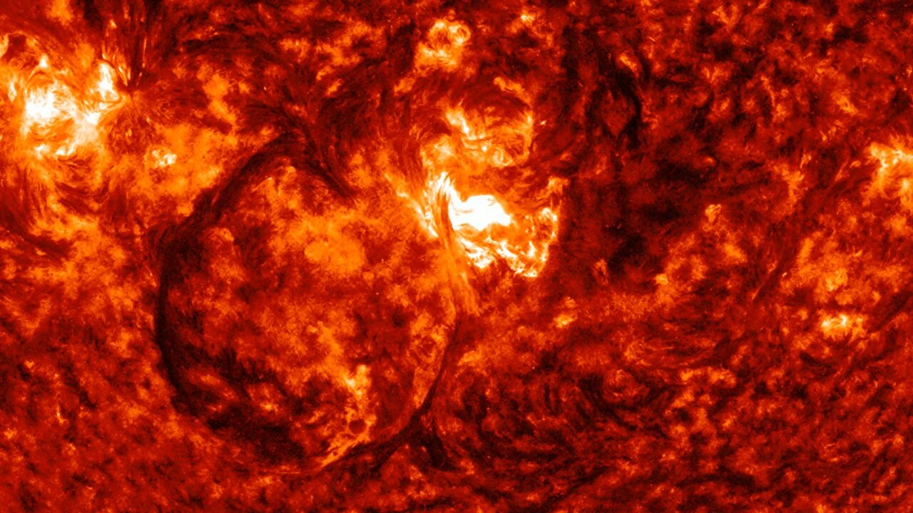 🌞 1-8-2026 crop 🌞