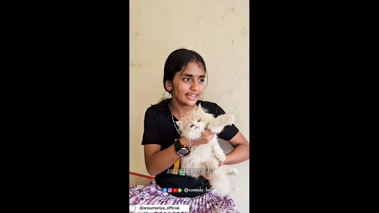 പേർഷ്യൻ കോടാലി... #ansumariya #ansumariyaofficial #comedy #malayalam