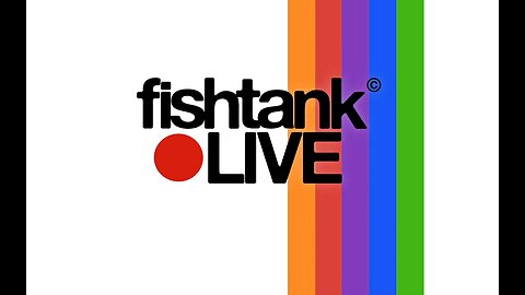 Fishtank Season 4 - Day 1 - Meet the Fish