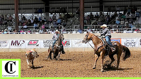 Open Team Roping 4th Go - 2024 Spicer Gripp Memorial Roping