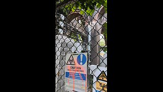 Hijacked node on Cedars road!
