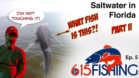 SALTWATER FISHING IN FLORIDA PART 2 | Gafftop Catfish and more!