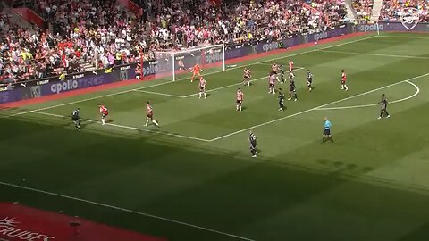 Highlights