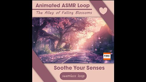 🌸The Alley of Falling Blossoms • ASMR Nature Relaxing Calming Stress Relief Sleep Meditation Focus