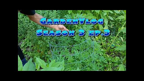 A clip from GardenVlog Season 2, episode 3