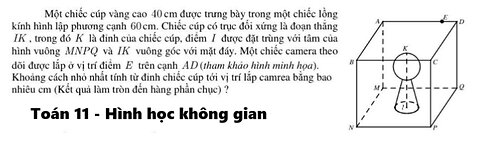 Toán 11: Một chiếc cúp vàng cao 40 cm được trưng bày trong một chiếc lồng kính hình lập