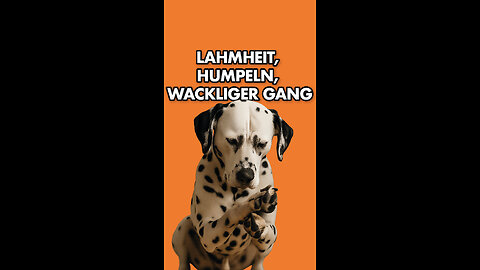 Lahmheit, Humpeln, Wackeliger Gang!