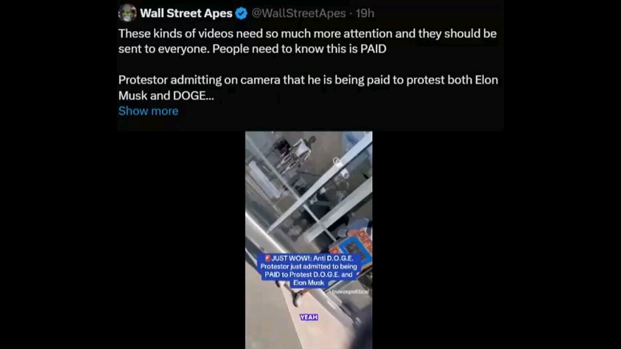 DOGE Protestor Admits He Is PAID To Protest!