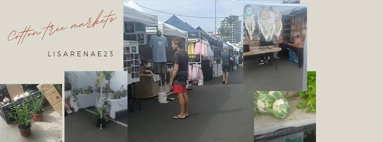 Cotton tree markets - Sunshine coast
