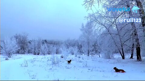winter