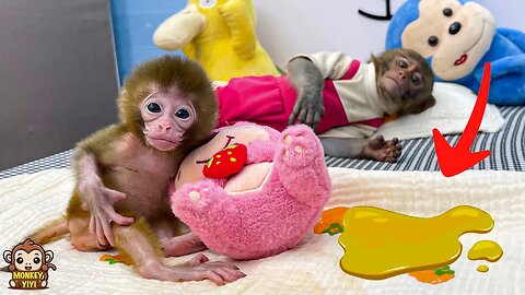 YiYi's reaction when baby monkey peed on the bed
