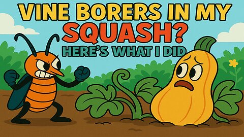 Vine Borers in My Squash? Here's What I Did!