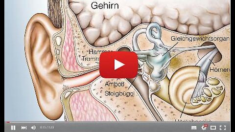 Hearing Noises? Become immune to tinnitus just like 68% of people