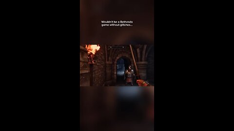 Wouldn’t be a Bethesda game without a few glitches… #gaming #elderscrolls #bethesda #glitch